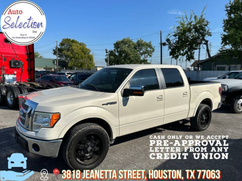 2009 Ford F-150 for sale at Auto Selection Inc. in Houston TX