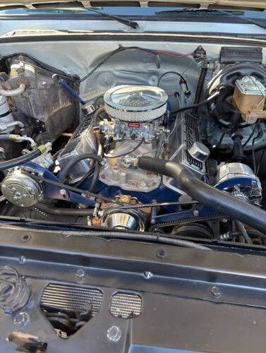 1981 Chevrolet C10