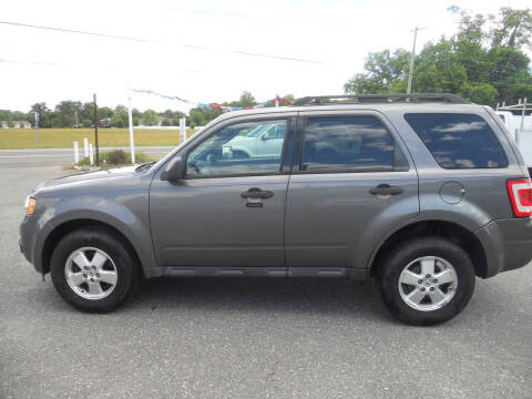 2011 Ford Escape XLT