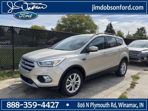 2017 Ford Escape for sale at Jim Dobson Ford in Winamac IN