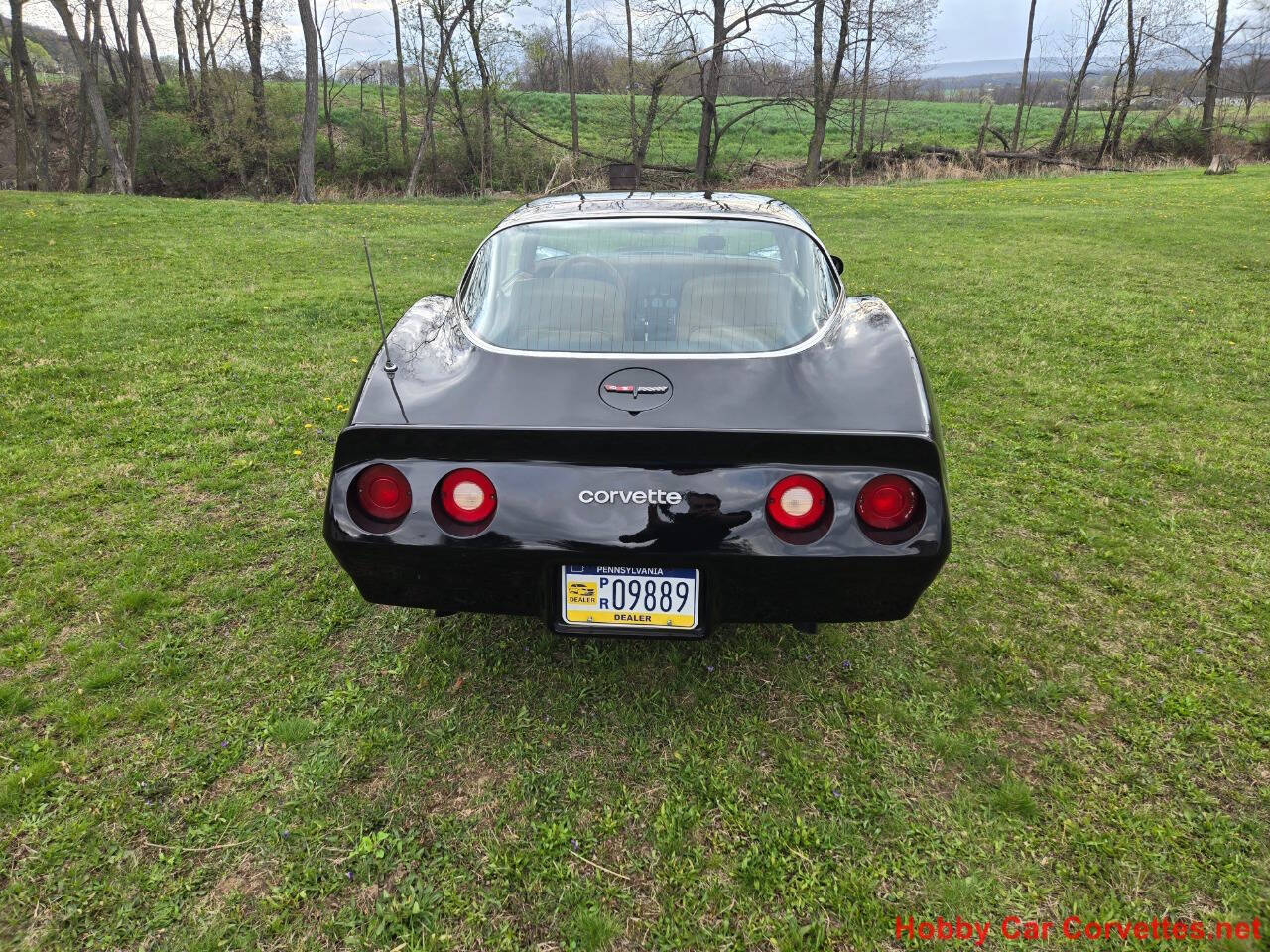 1981 Chevrolet Corvette 7