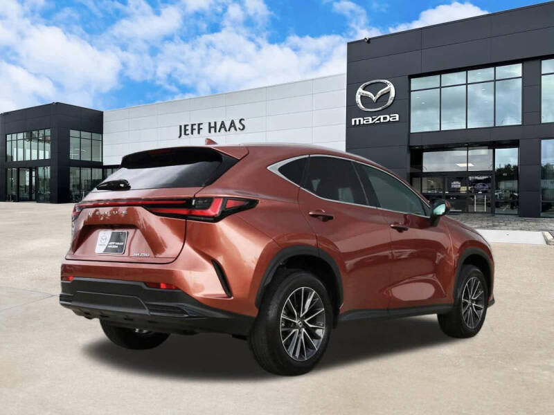 2025 Lexus NX 250