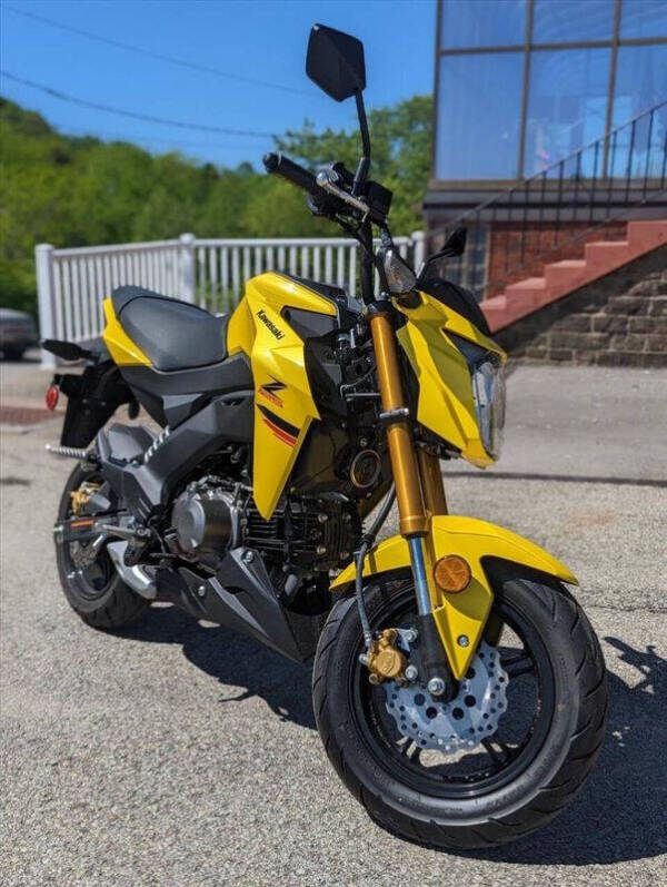 2022 Kawasaki Z125 Pro