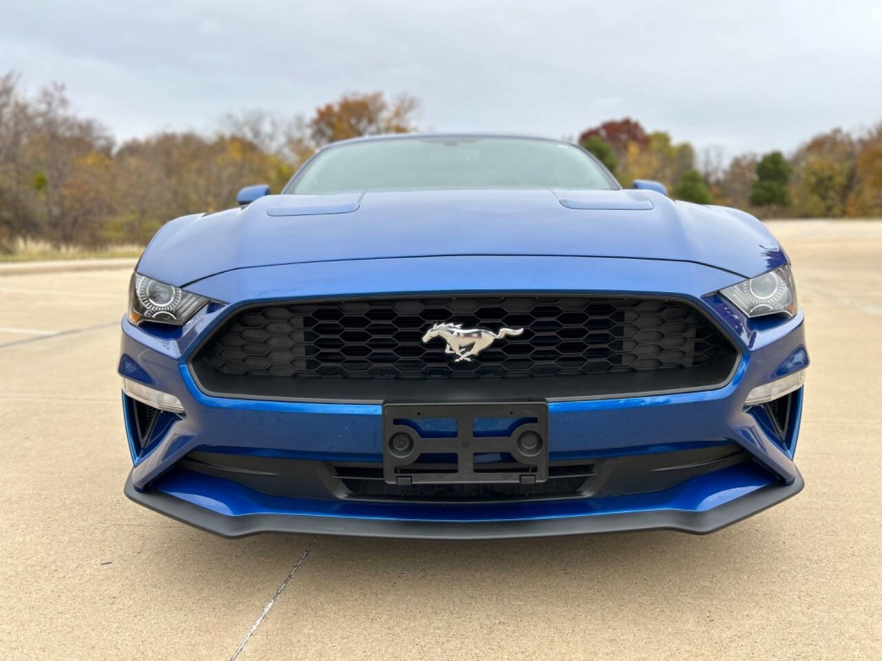 2018 Ford Mustang for sale at Auto Haven in Irving, TX