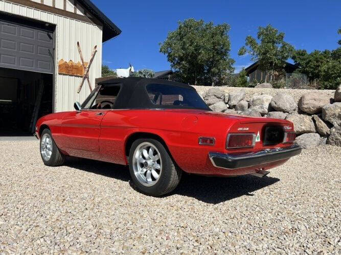 1972 Alfa Romeo Spider