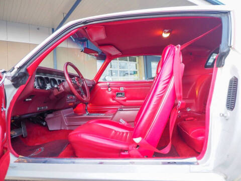 1981 Pontiac Firebird Trans Am