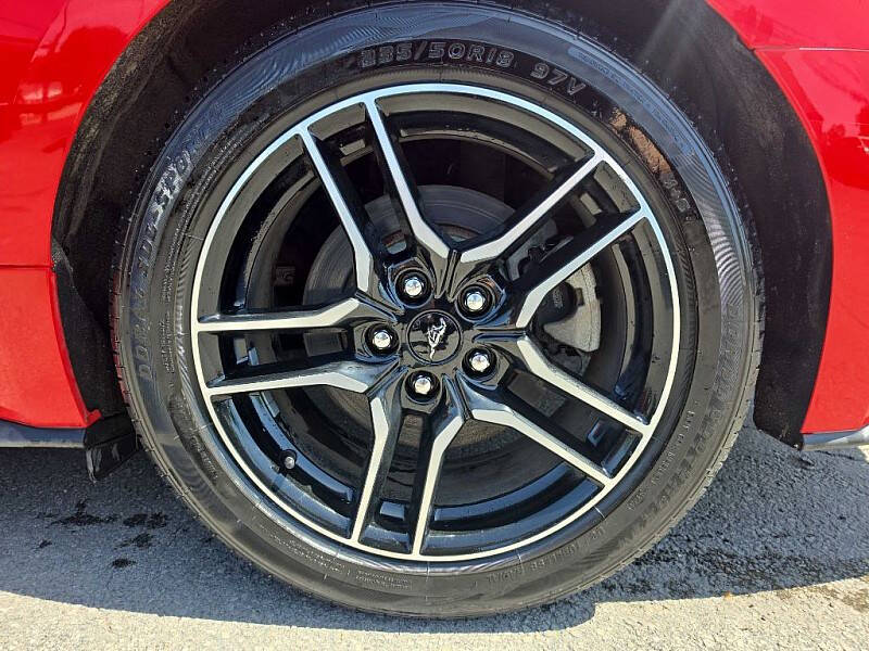 2019 Ford Mustang