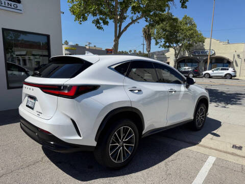 2024 Lexus NX 350h