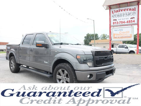 2014 Ford F-150 for sale at Universal Auto Sales in Plant City FL