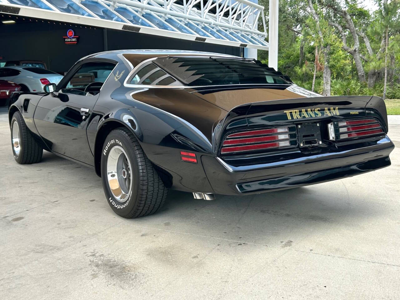 1976 Pontiac Firebird 10