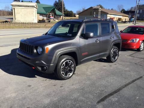 2016 Jeep Renegade for sale at The Autobahn Auto Sales & Service Inc. in Johnstown PA