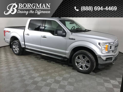 2019 Ford F-150 for sale at BORGMAN OF HOLLAND LLC in Holland MI