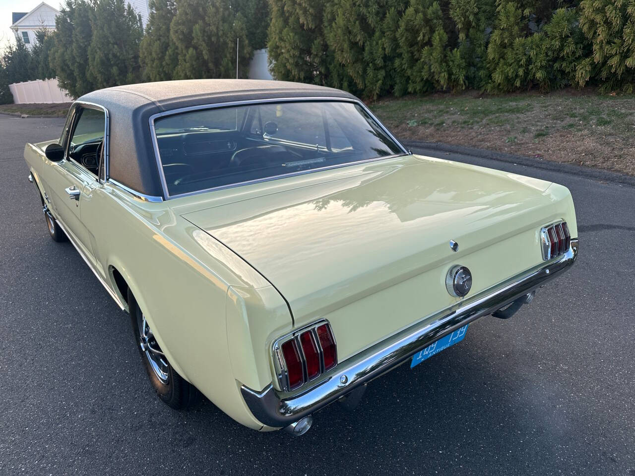 1966 Ford Mustang 6