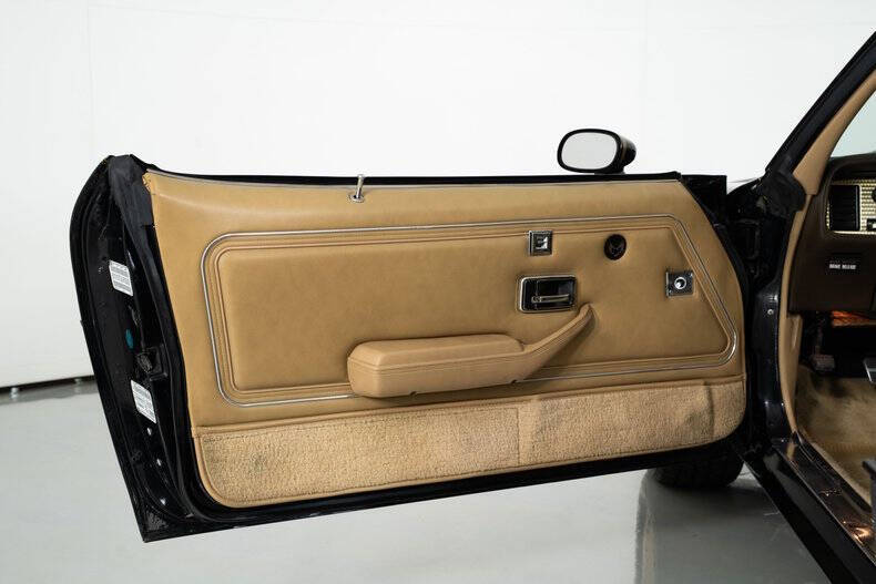 1981 Pontiac Trans Am