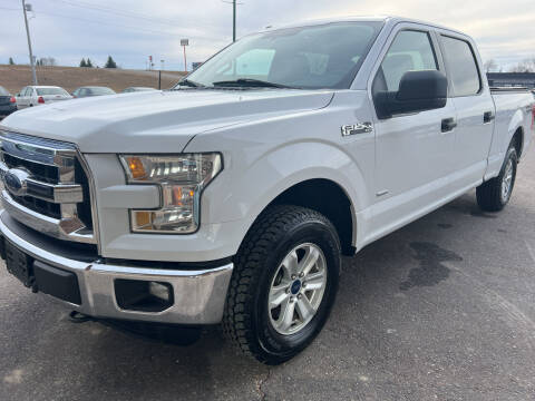 2016 Ford F-150 for sale at H & G AUTO SALES LLC in Princeton MN