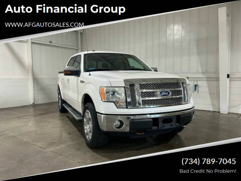 2010 Ford F-150 for sale at Auto Financial Group in Flat Rock MI