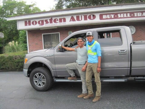 2012 Ford F-150 for sale at HOGSTEN AUTO WHOLESALE in Ocala FL