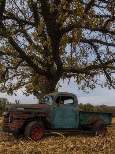 1949 Ford F-3