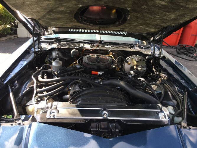 1981 Chevrolet Camaro Z28