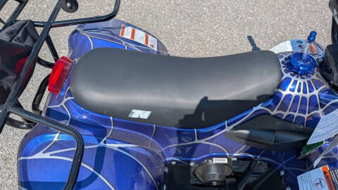 2025 TrailMaster Mini 110 Sport