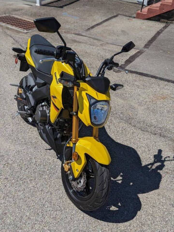 2022 Kawasaki Z125 Pro