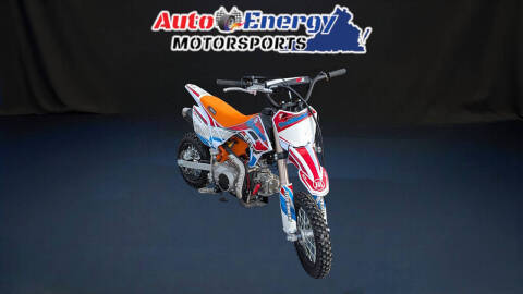 2025 TrailMaster SK110 ES