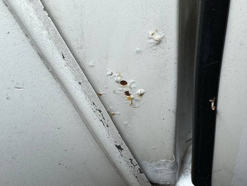 1980 Pontiac Firebird