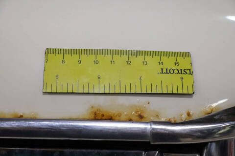 1960 Ford Thunderbird