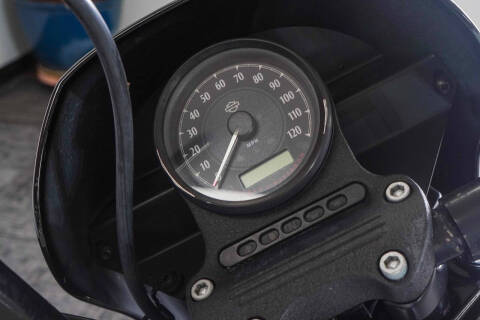 2021 Harley-Davidson Iron 1200