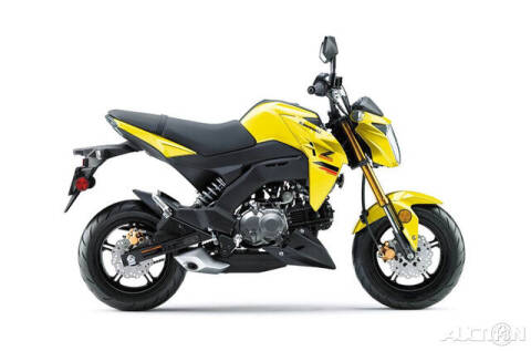 Kawasaki Z125 Pro Image