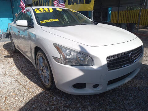 2010 Nissan Maxima for sale at AFFORDABLE AUTO SALES OF STUART in Stuart FL