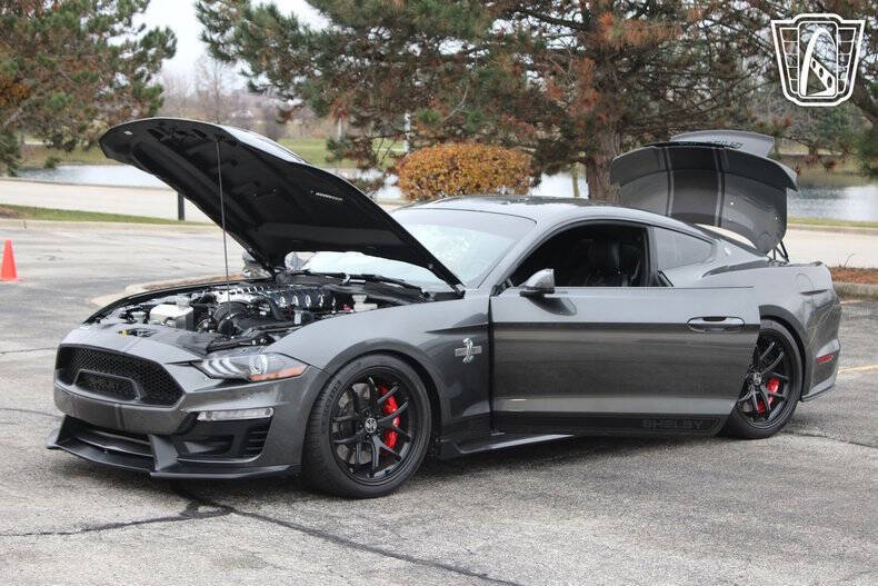 2019 Ford Mustang