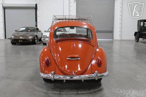 1965 Volkswagen Beetle