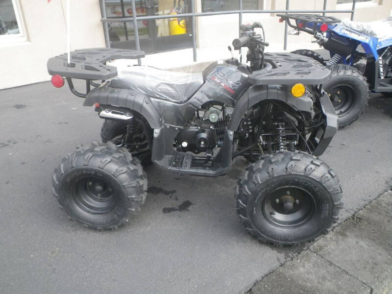 1900 RIDER 110CC for sale at VICTORY AUTO in Lewistown PA