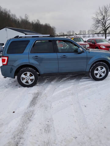 2010 Ford Escape Limited