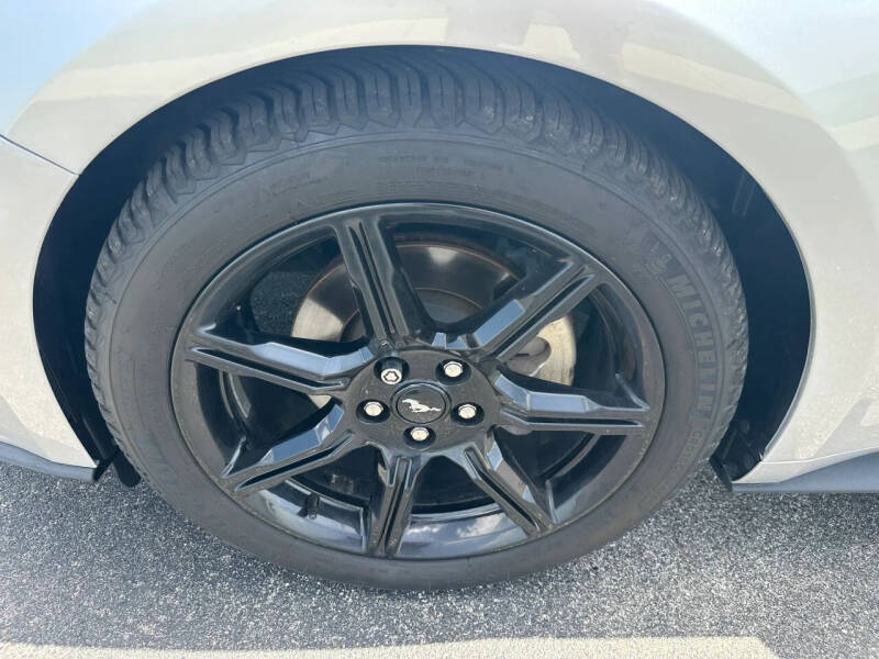 2019 Ford Mustang