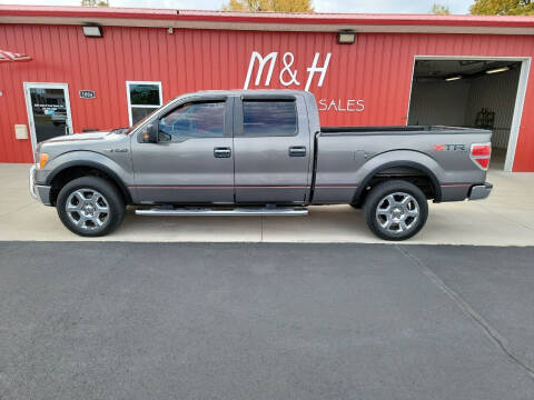 2013 Ford F-150 for sale at M & H Auto & Truck Sales Inc. in Marion IN