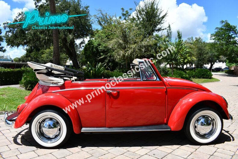 1966 Volkswagen Beetle