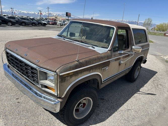 1981 Ford Bronco
