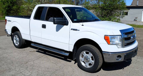 2014 Ford F-150 for sale at Angelo's Auto Sales in Lowellville OH