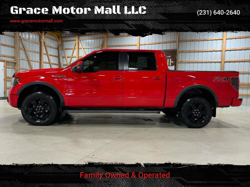 2014 Ford F-150 for sale at Grace Motor Mall LLC in Traverse City MI