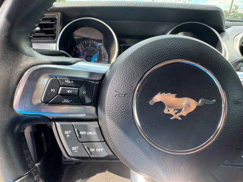 2019 Ford Mustang