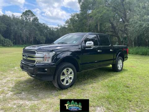 2020 Ford F-150 for sale at TIMBERLAND FORD in Perry FL