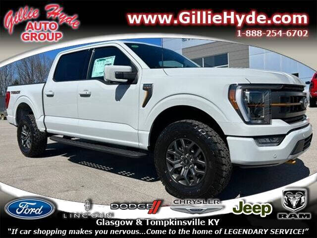 2023 Ford F-150 for sale at Gillie Hyde Auto Group in Glasgow KY