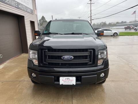 2014 Ford F-150 for sale at Auto Import Specialist LLC in South Bend IN