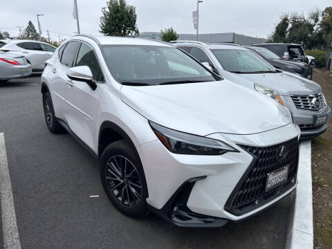 2024 Lexus NX 250