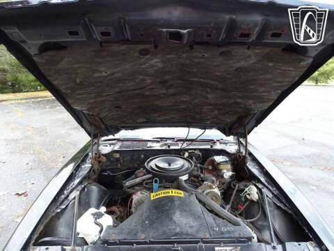 1981 Pontiac Firebird