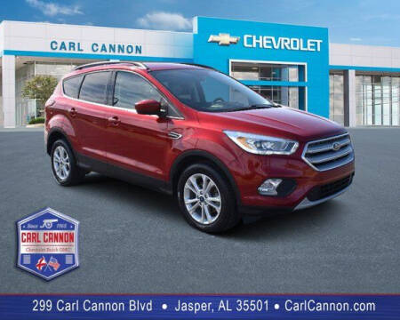 2019 Ford Escape for sale at Carl Cannon in Jasper AL