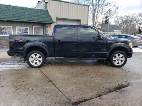 2010 Ford F-150 for sale at H & L AUTO SALES LLC in Wyoming MI