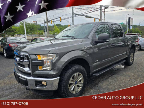 2015 Ford F-150 for sale at Cedar Auto Group LLC in Akron OH